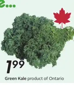 Sobeys Green Kale offer