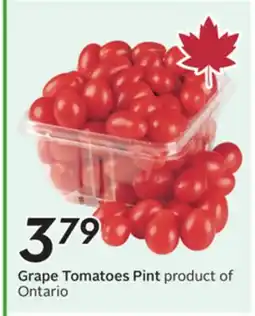 Sobeys Grape Tomatoes offer