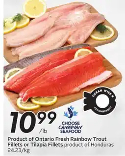 Sobeys Fresh Rainbow Trout Fillets or Tilapia Fillets offer