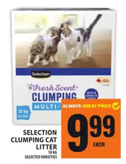 Food Basics SELECTION CLUMPING CAT LITTER offer