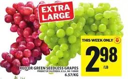 Food Basics RED OR GREEN SEEDLESS GRAPES offer