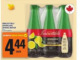 Food Basics IRRESISTIBLE SPARKLING SPRING WATER offer