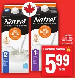 Food Basics NATREL LACTOSE FREE MILK offer