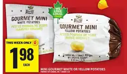 Food Basics MINI GOURMET WHITE OR YELLOW POTATOES offer
