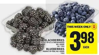 Food Basics BLACKBERRIES OR BLUEBERRIES offer