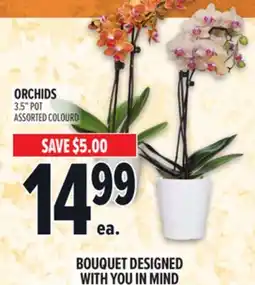 Metro ORCHIDS offer