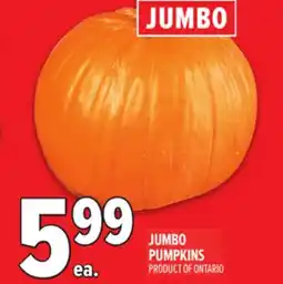 Metro JUMBO PUMPKINS offer