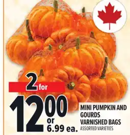 Metro MINI PUMPKIN AND GOURDS VARNISHED BAGS offer