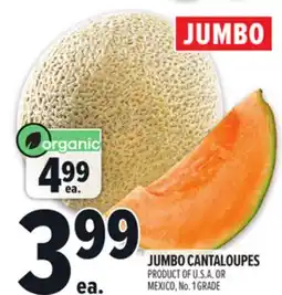 Metro JUMBO CANTALOUPES offer