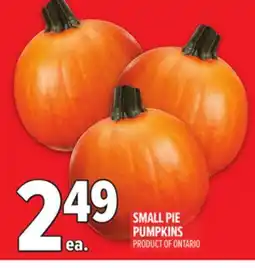 Metro SMALL PIE PUMPKINS offer