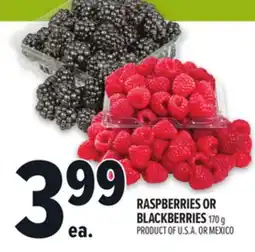Metro RASPBERRIES OR BLACKBERRIES offer