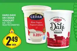 Food Basics HANS DAHI OR CEDAR YOGOURT offer