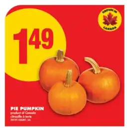 No Frills PIE PUMPKIN offer