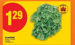 No Frills CILANTRO offer