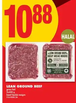 No Frills LEAN GROUND BEEF, 2x450 G offer