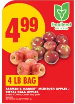 No Frills FARMER'S MARKET MCINTOSH APPLES or ROYAL GALA APPLES, 4 LB BAG offer