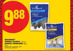 No Frills SEAQUEST WHOLE TILAPIA, 1.36 kg or WHOLE POMPANO, 800 g offer