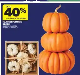 Real Canadian Superstore HARVEST PUMPKIN DÉCOR offer