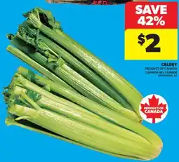 Real Canadian Superstore CELERY offer