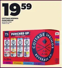 Loblaws COTTAGE SPRINGS PUNCHED UP, 8X355 ML CANS offer
