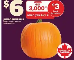 Loblaws JUMBO PUMPKINS offer