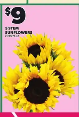 Loblaws 5 STEM SUNFLOWERS offer