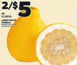 Loblaws LARGE WHITE POMELO offer
