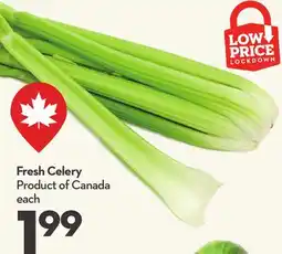 Longo's Fresh Celery offer