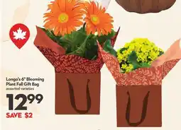 Longo's 6 Blooming Plant Fall Gift Bag offer