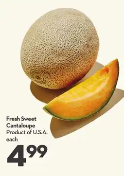 Longo's Fresh Sweet Cantaloupe offer