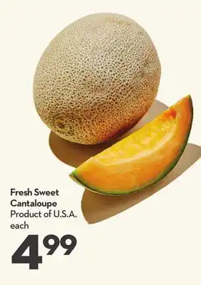 Longo's Fresh Sweet Cantaloupe offer