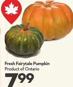 Longo's Fresh Fairytale Pumpkin offer
