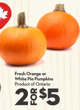Longo's Fresh Orange or White Pie Pumpkins offer