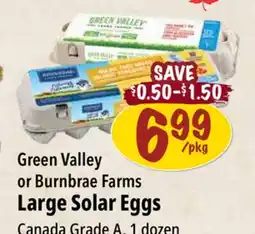 Farm Boy Green Valley or Burnbrae Farms Large Solar Eggs offer