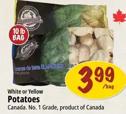 Farm Boy White or Yellow Potatoes offer
