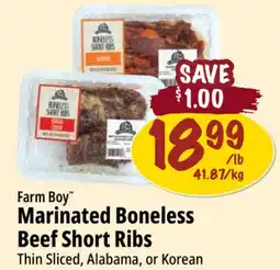 Farm Boy Farm Boy Marinated Boneless Beef Short Ribs offer
