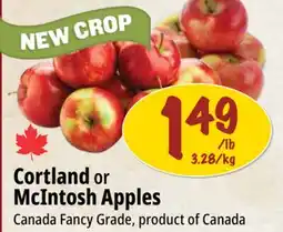 Farm Boy Cortland or McIntosh Apples offer