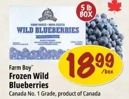 Farm Boy Farm Boy Frozen Wild Blueberries offer