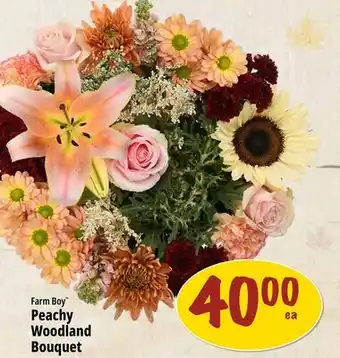 Farm Boy Farm Boy Peachy Woodland Bouquet offer