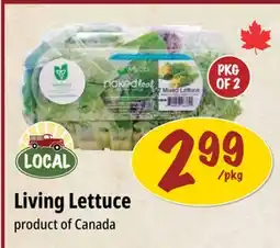 Farm Boy Living Lettuce offer