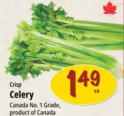 Farm Boy Crisp Celery offer