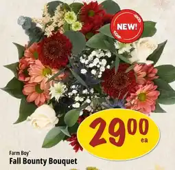 Farm Boy Farm Boy Fall Bounty Bouquet offer