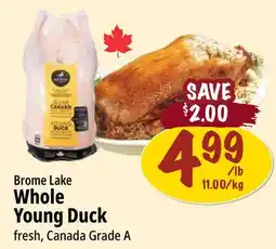 Farm Boy Brome Lake Whole Young Duck offer