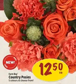 Farm Boy Farm Boy Country Posies offer
