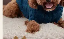Petvalu GF Pet Chalet Sweater Teal offer