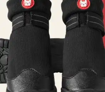 Petvalu Bailey & Bella Extendable Boots offer