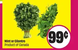 FreshCo Mint or Cilantro Product of Canada offer
