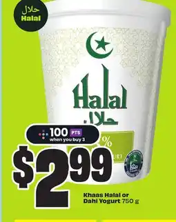 FreshCo Khaas Halal or Dahi Yogurt 50 g offer