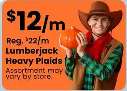 Fabricland Lumberjack Heavy Plaids offer