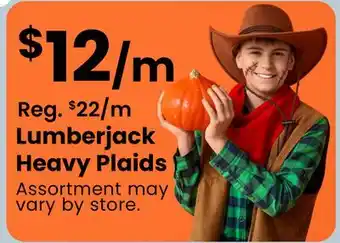 Fabricland Lumberjack Heavy Plaids offer